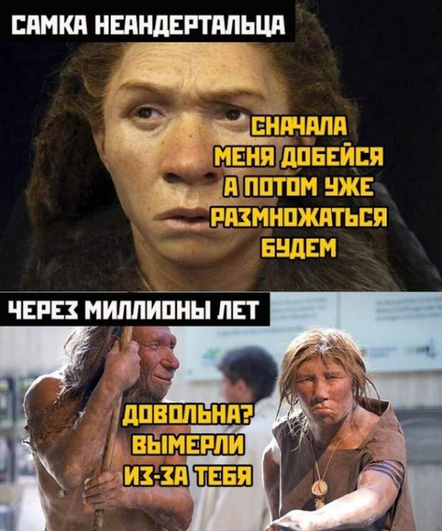 Весёлые