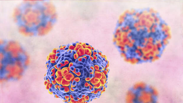 В Тюменской области после вспышки норовируса проверяют школы и детсады