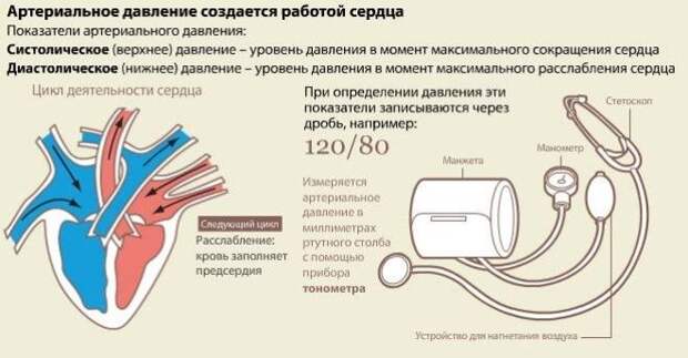 Понятие нормы АД