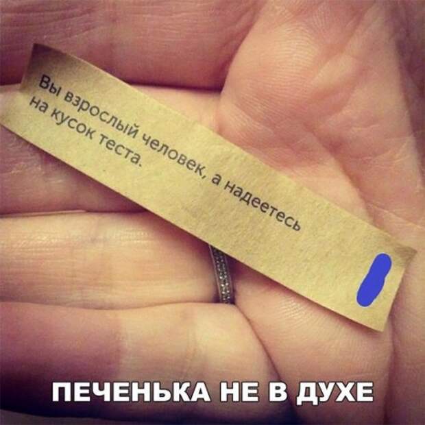 Прикольные фотомемы (23 шт)
