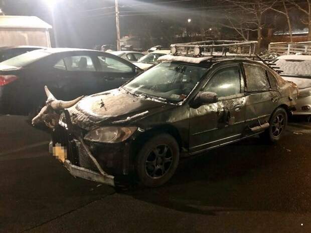 Автовсячина