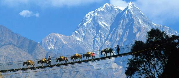 Фото: britannica.com