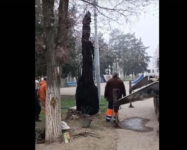 Стало известно, что за монстра извлекли из астраханской канализации