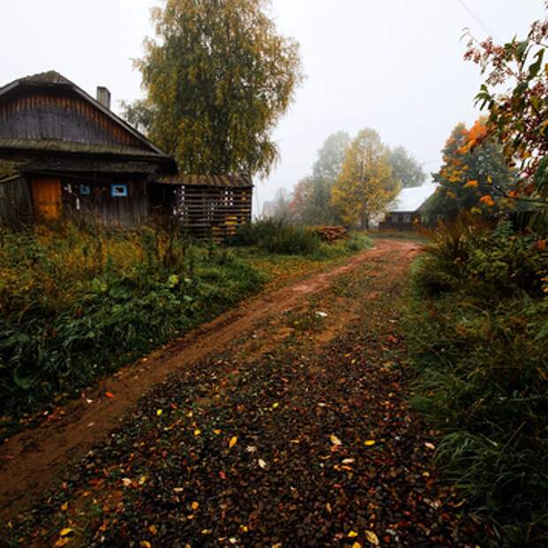 Делюсь осенним настроением 🍂- 2 Делюсь осенним настроением 🍂- 2