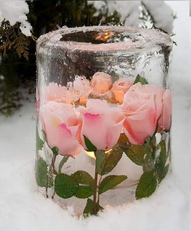 Цветы во льду Цветы во льду