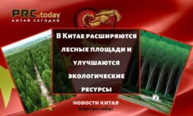 В Китае расширяются лесные площади и улучшаются экологические ресурсы
