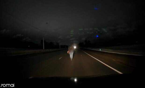 Худшего место для ходьбы и не найти