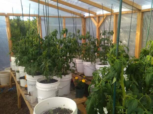 alaskamastergardener.community.uaf.edu Контейнерный огород