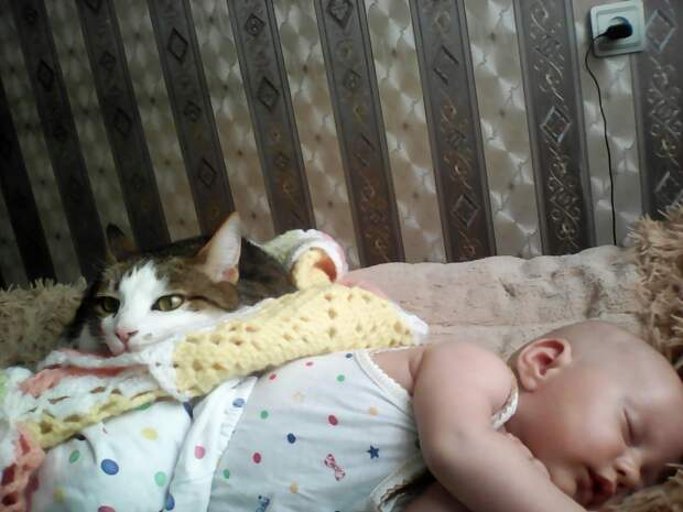 кошка с ребенком