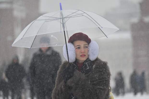 Последствия скорого снегопада в Москве оценили