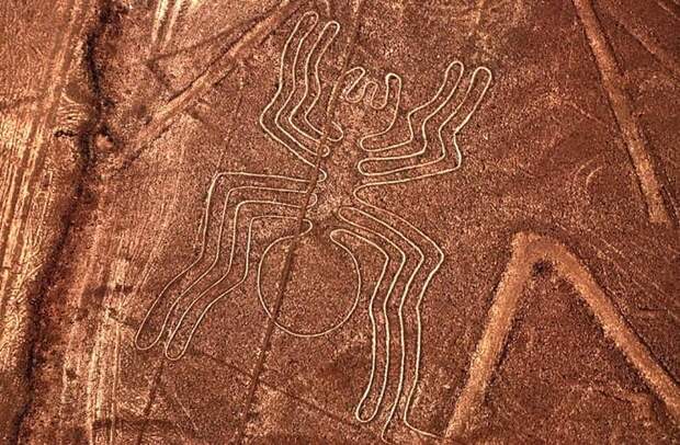 Ученые заявили о разгадке тайны геоглифов Наска в Перу