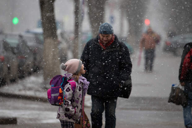 Тулякам рассказали, при каких погодных условиях могут отменить занятия в школах