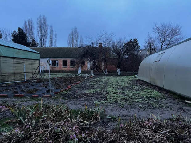 Поставил и забыл: дачники нашли материал, который переживёт их самих