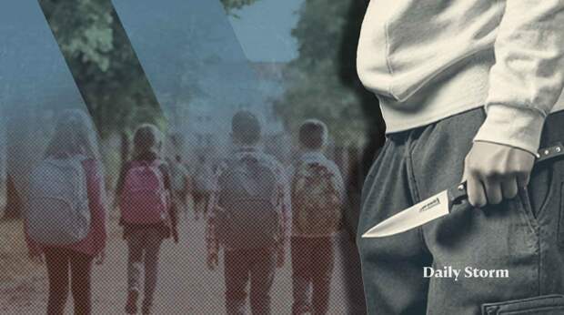 СПЧ предложит администрации президента новые идеи против «колумбайнов»