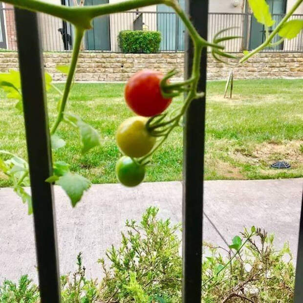 Приятные снимки, на которых всё складывается идеально