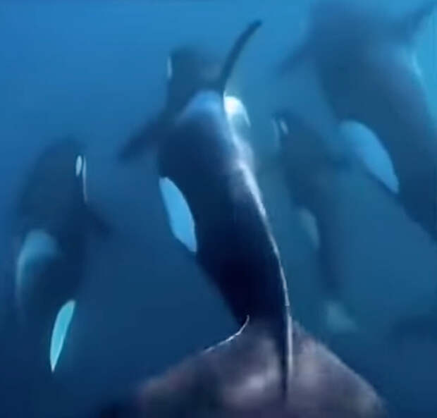 Кадр из видео YouTube@Mr7siu