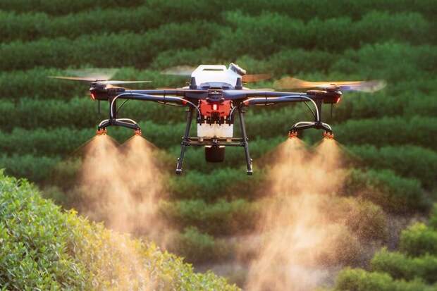 Как правильно собирать урожай: дроны и программы для точного сельского хозяйства