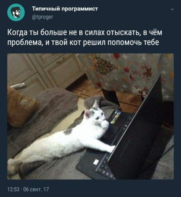 Прикольные фотомемы (23 шт)