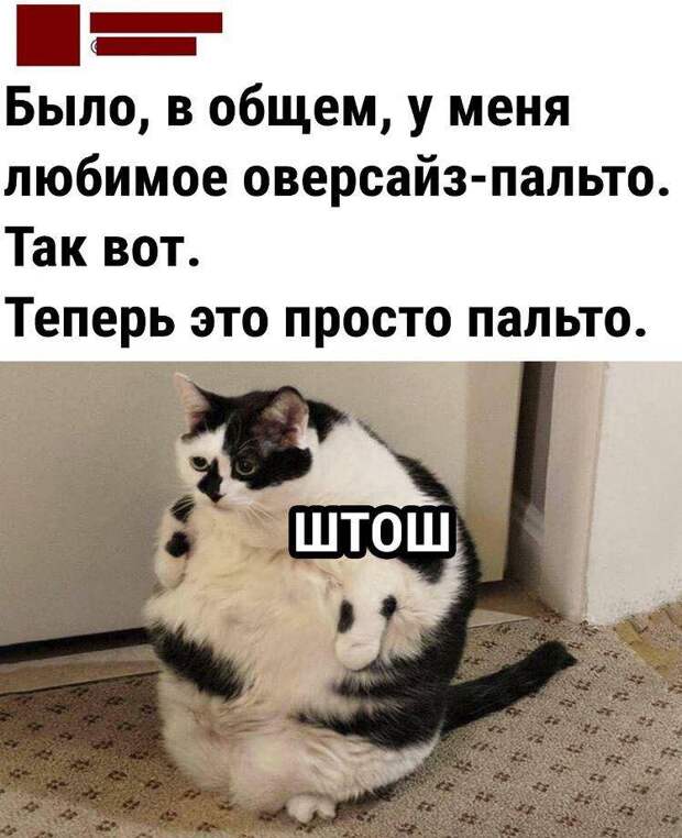 Прикольные картинки с надписями (18)