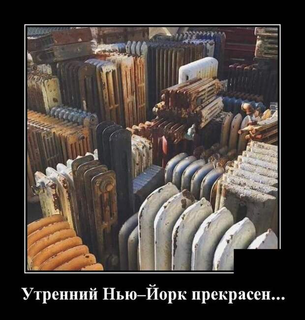 Демотиваторы (20 фото)