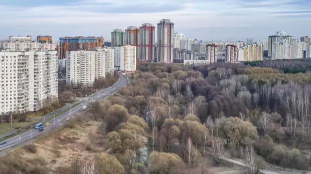 В Москве рассказали о работе по демонтажу самостроев на особо охраняемых территориях