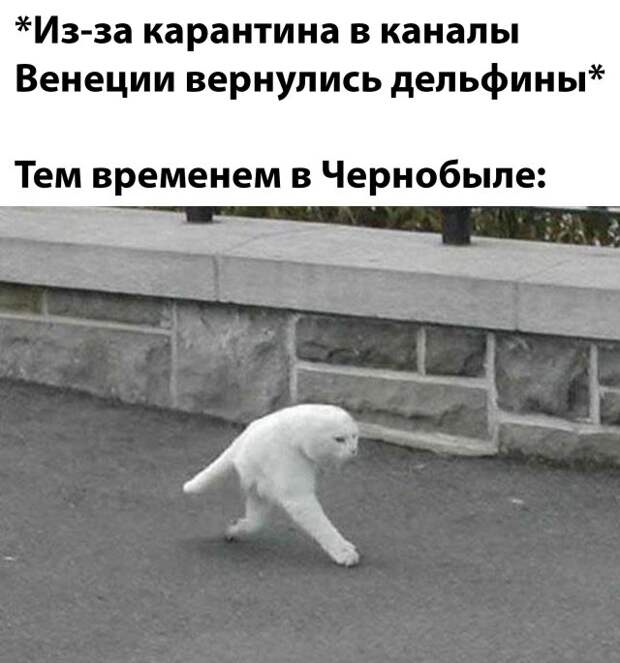 www.vsyako.net