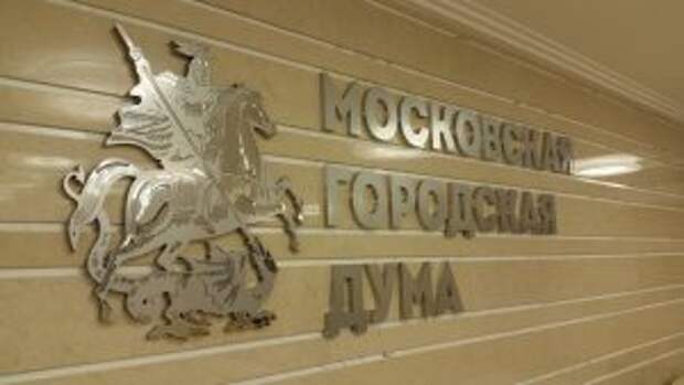 Депутат Мосгордумы Николаева: В ходе реновации построят более 400 объектов социнфраструктуры. Фото: сайт мэра Москвы