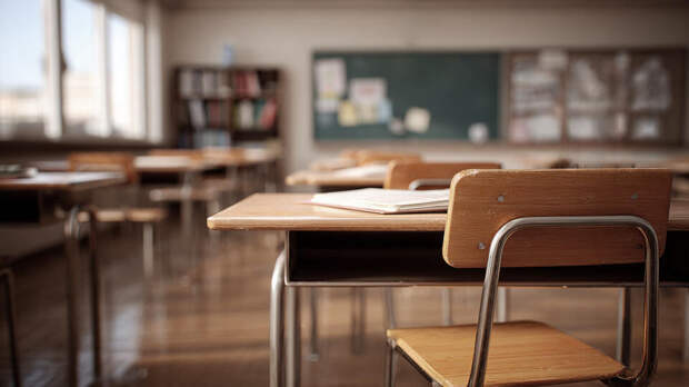 Учительница заманила школьницу в свой дом и сделала ее секс-рабыней