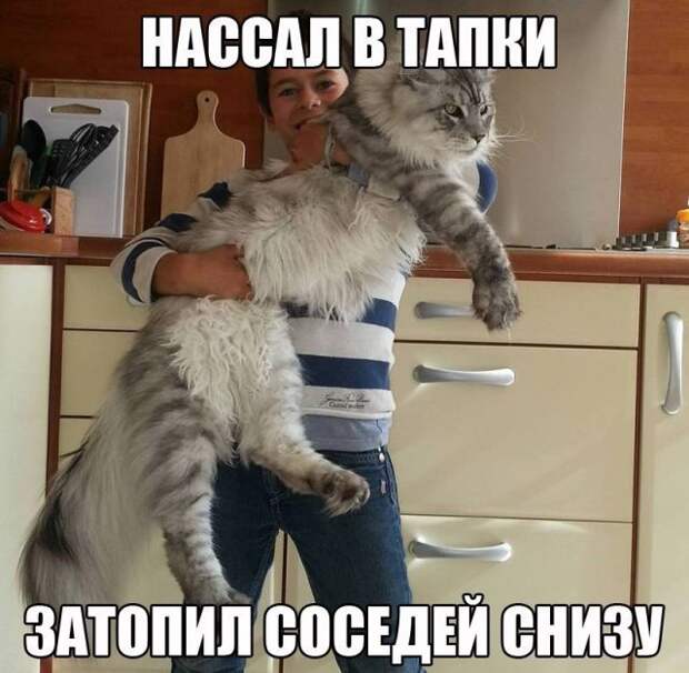Подборка картинок. Вечерний выпуск (50 фото)