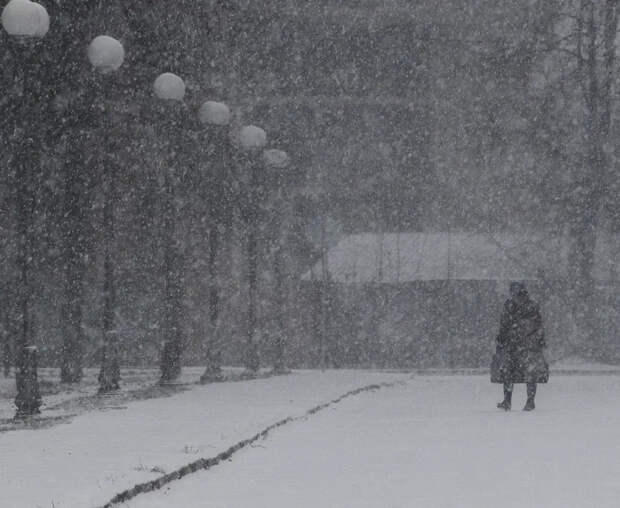 Циклон «Фрэнсис» обрушил на Москву аномальный снегопад, отменены десятки рейсов