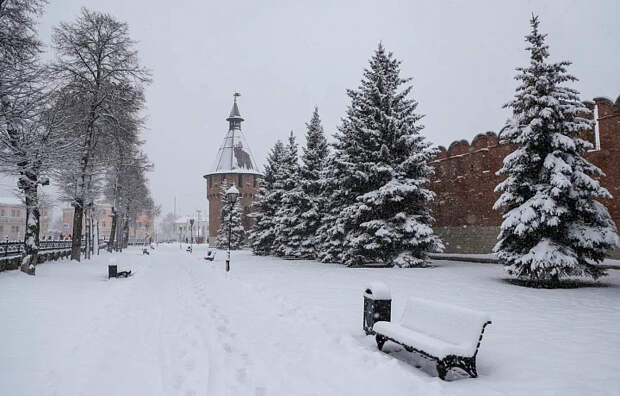 Ожидается оттепель: синоптик Ильин рассказал о погоде в Тульской области в с 9 по 13 февраля