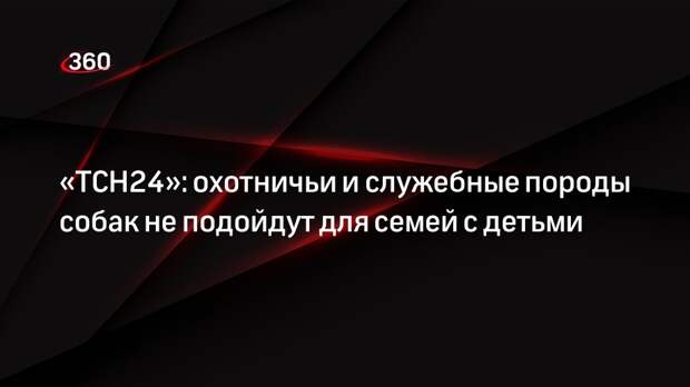 «ТСН24»: охотничьи и служебные породы собак не подойдут для семей с детьми