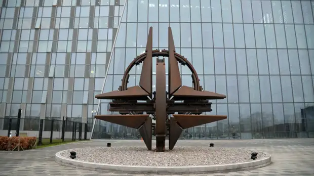 Зампредседателя СБ Медведев назвал парадоксальным существование НАТО