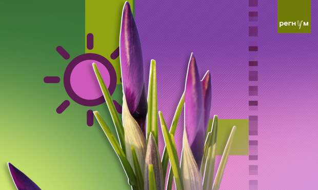 МЧС: с 1 по 5 апреля в Москве ожидается аномально теплая погода