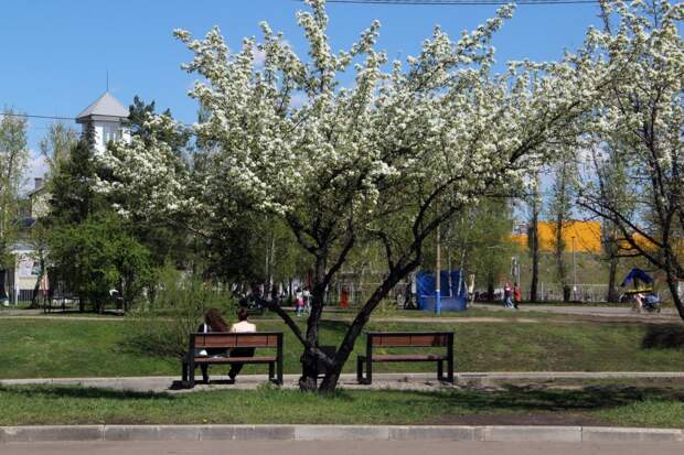 Хорошее за неделю