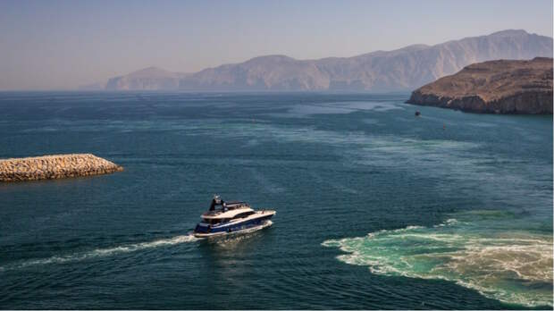 Посол в Иране: для российских судов нет проблем с проходом через Ормузский пролив