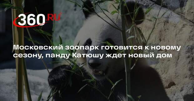 Гендиректор Московского зоопарка Акулова провела обход реставрируемых зон