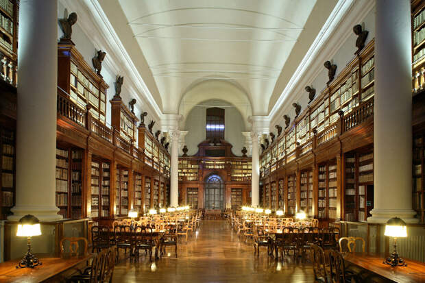 Богатая библиотека университета заключает в себе более 200 тысяч томов