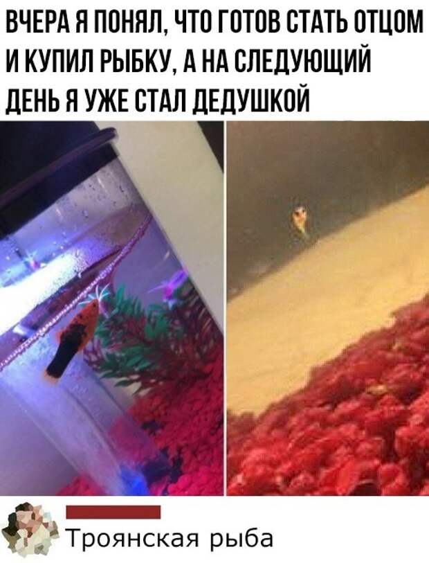 Картинки и мемы для настроения