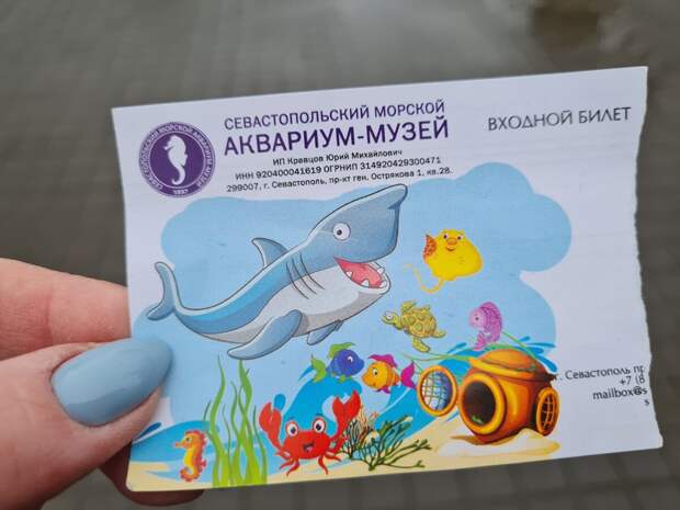Посетила севастопольский музей-аквариум. Работает с 1897 года. Будет много ярких фоток.