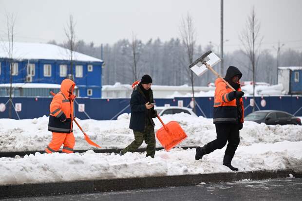 Бывшие российские полицейские легализовали почти 2,5 тысячи иностранных граждан