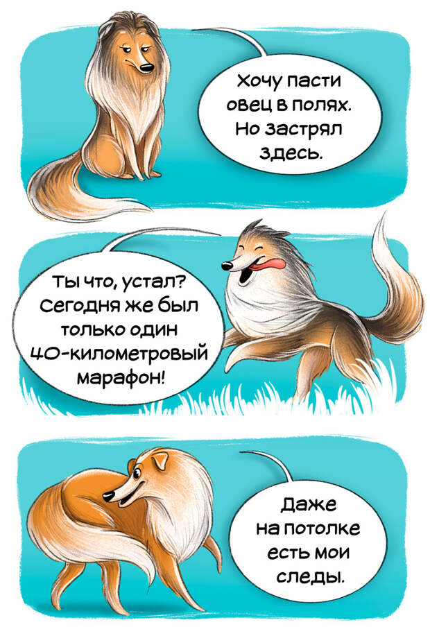 Честный гид по породам собак от первого лица (Часть 2-я)