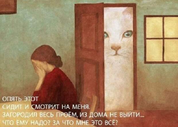 Картинки с надписями, истории и анекдоты