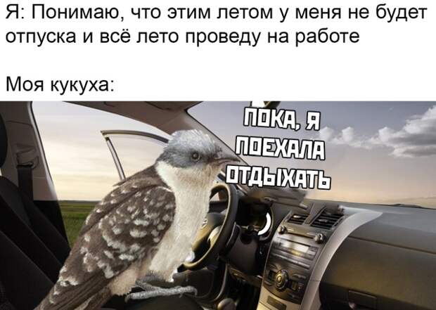 www.vsyako.net