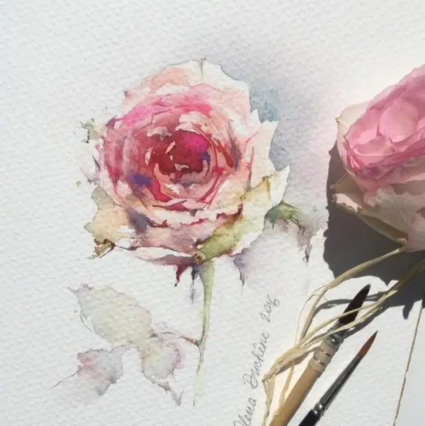 �������� Olena Duchene (����� �����) ������� � 13