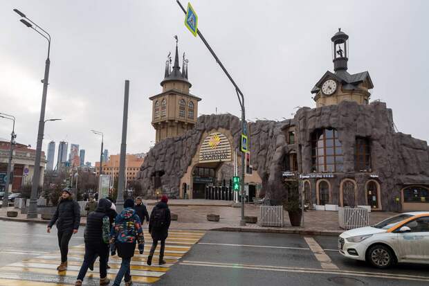 Стало известно о состоянии помогавшего российским военным в зоне СВО ослика Жорика