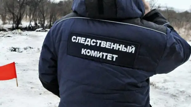 СК возбудил дело по факту смерти ребёнка в севастопольской больнице