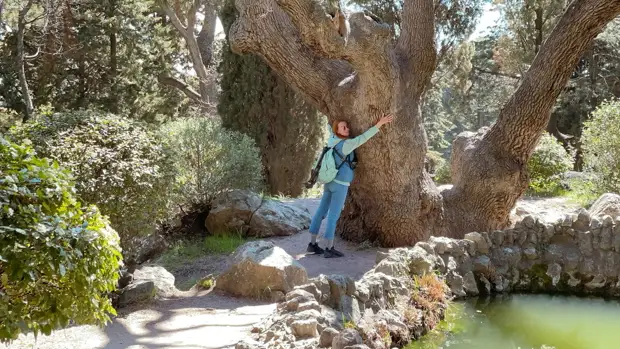 Как провести выходной в Крыму?