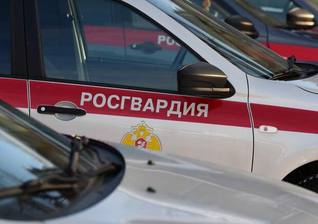 Поведение троих россиян в отелях Сочи описали словами «кричали и ломились в номера»