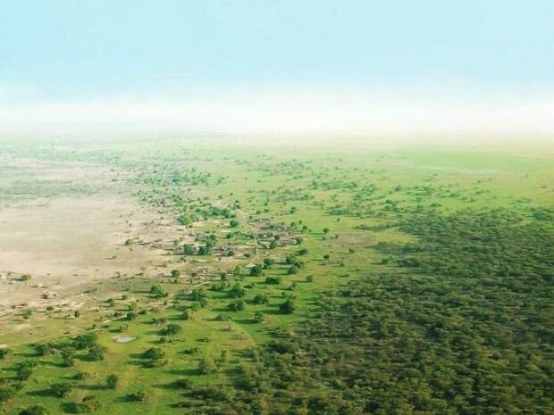 Фрагмент великой африканской зеленой стены/ © ecosphere.press